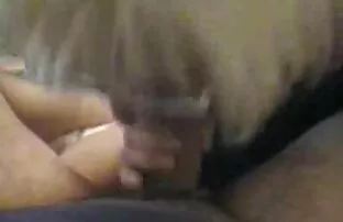 XXX Il bicchiere di pollo davanti video mature porche all'urina è Pioggia dorata